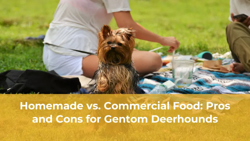 Homemade vs commercial food pros and cons for gentom deerhounds