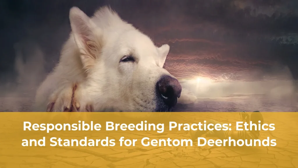 Responsible breeding practices ethics and standards for gentom deerhounds